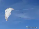 Nasa Wing Traction Kite